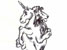 The Lion & the Unicorn